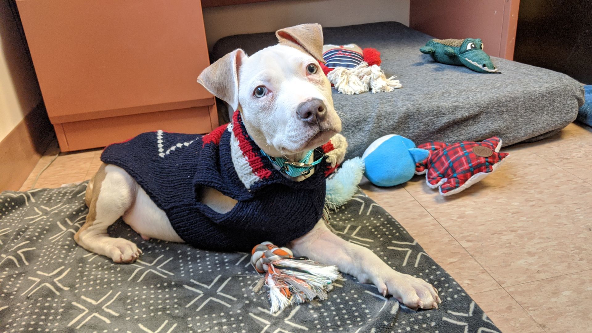 Kringle post-op